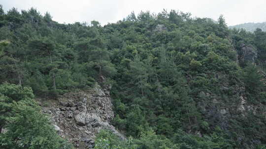 峡谷底部，两边是悬崖和山脉，覆盖着树木