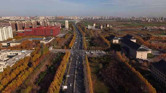 航拍石家庄秋天蓝天白云城市道路