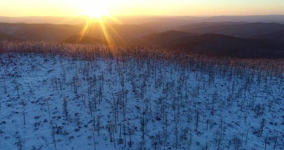 航拍大兴安岭夕阳下的雪色山林