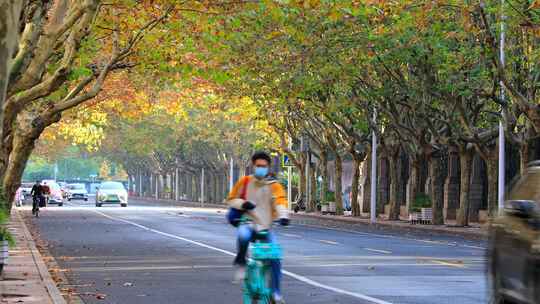 城市秋景 上班人群 林荫大道