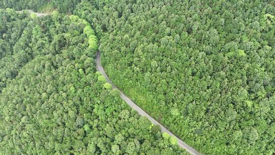 森林公路航拍山路树林道路俯拍林间道路风景视频素材模板下载