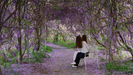 两个女子在紫藤花栅下自拍视频素材模板下载