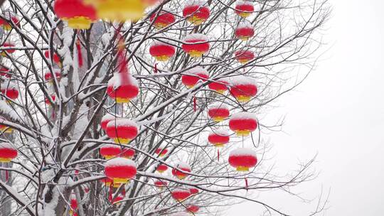 雪景下雪时树上挂的红灯笼