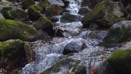 清澈的山间溪水 河流 溪流 溪水