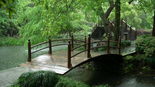 177 杭州 风景 古建筑 下雨天 小桥 树枝