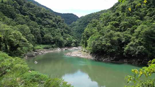 航拍森林河边峡谷生态