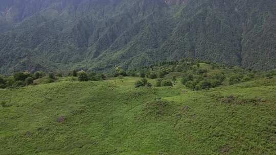 草原景区风景航拍高山森林