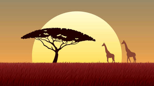 长颈鹿 日落 野生动物 草原