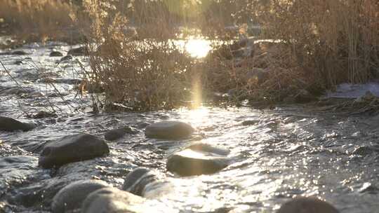 芦苇 草 风景 晚霞 湿地 夕阳