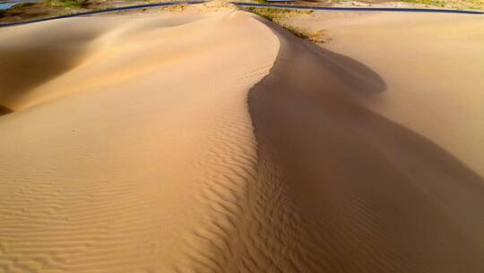 金色的塔克拉玛干沙漠