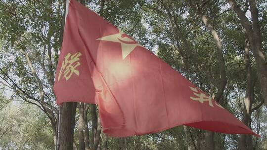 景区的革命历史情节还原情景表演