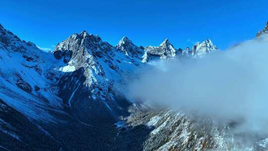 雪山下多彩树林与湖泊相映的美景