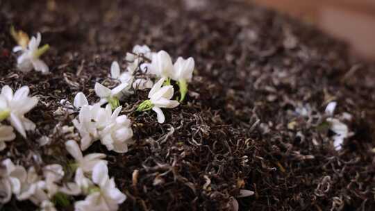 唯美茉莉花与茉莉花茶制作