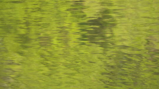 春天绿油油碧绿的小溪池塘视频素材模板下载