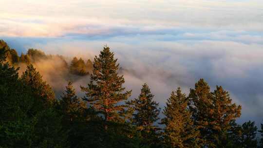 云，天空， Tamalpais山，树木