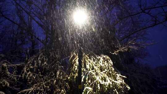 冬天夜晚路灯下大雪纷飞