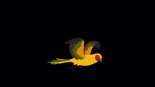 带通道的卡通小鸟小动物飞翔动画