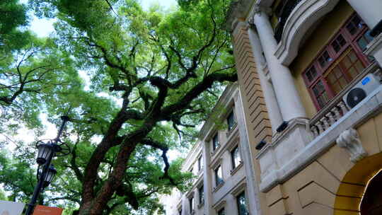 广州老街沙面大街历史景观欧式建筑