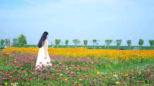 女孩走在花海 感受自然