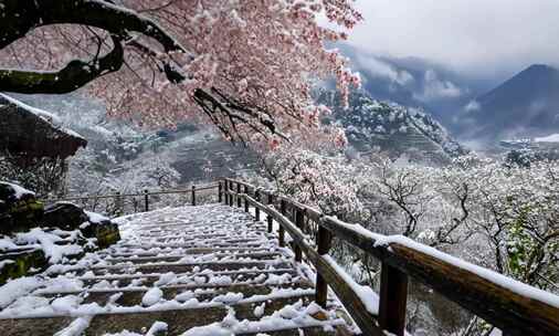 雪中梅花 雾凇积雪 唯美雪景合集