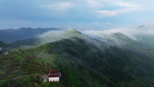 【合集】航拍高山梯田平流雾