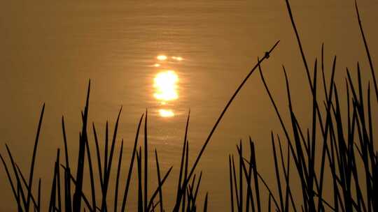 湖边落日湖边夕阳湖边黄昏