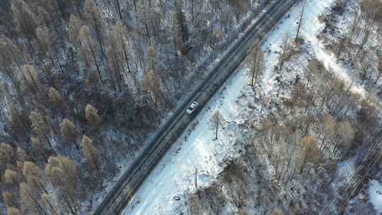 雪地森林汽车行驶