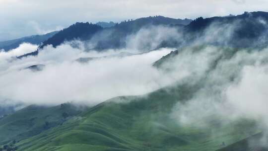 新疆伊犁唐布拉高山草原云海航拍