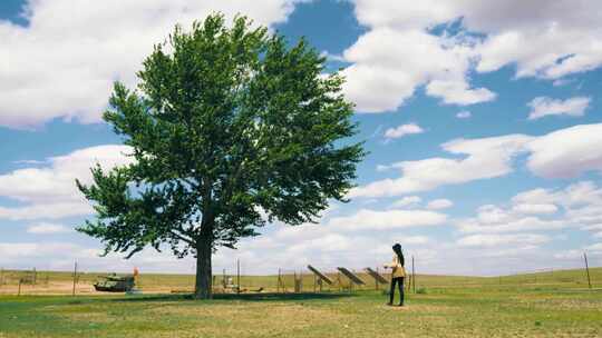 【转场】4k氛围感甩镜头城市树林汽车马路