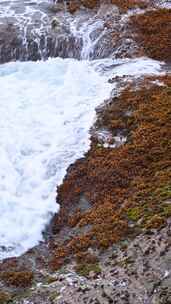 海岛早晨大海海浪浪花拍打礁石竖屏