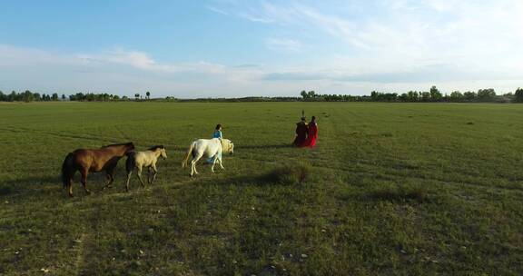 蒙古族草原放牧航拍