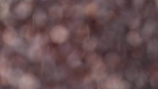 下雨 雨滴