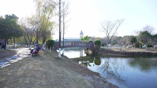 武汉东西湖常青花园中心公园风景