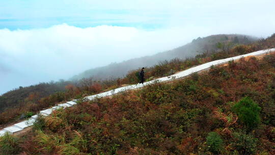 壮观云海中行走的登山者