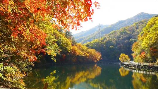 秋季风景