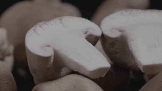 香菇影棚拍摄LOG素材