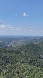 竖屏航拍山川丘陵大山山脉森林植物