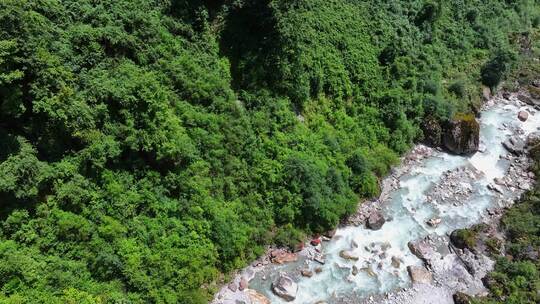 航拍四川甘孜贡嘎山区南门关沟森林河谷风光