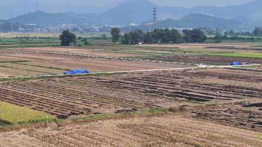 惠州万亩现代化实验农田航拍