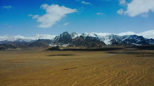 新疆若羌阿尔金山自然保护区