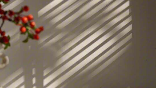 窗帘休闲美好时光飘动窗帘小清新