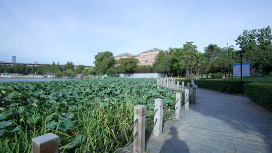 武汉汉阳莲花湖公园风景视频素材模板下载