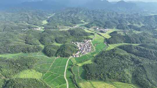 江西金溪：生态山村秋色美