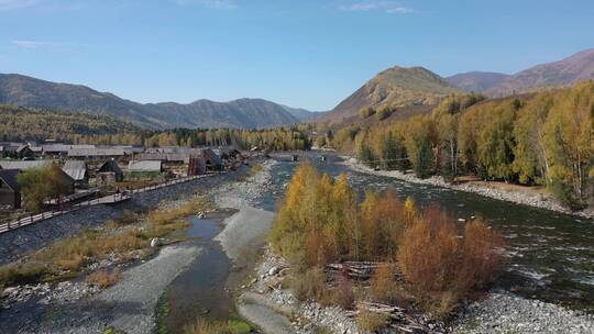 新疆阿勒泰禾木乡秋天河流自然风光视频素材模板下载