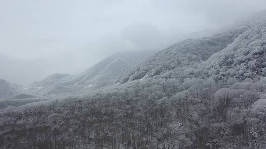 航拍湖北神农架大九湖冬季冰雪风光雪景