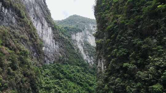 仰拍高山