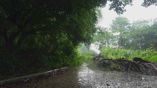 下雨雨天地面狼藉凌乱