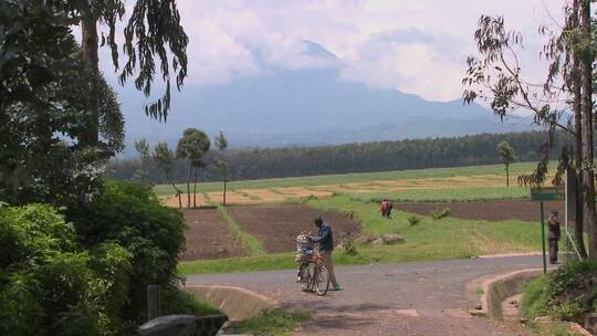 男子在卢旺达的乡村公路上推着自行车行走