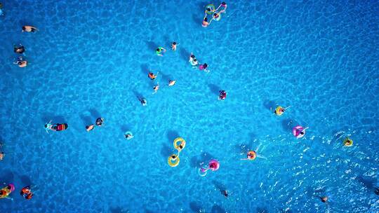 夏季游泳池游泳玩耍的人群