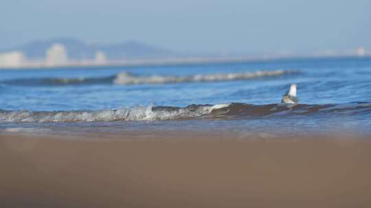 大海波浪